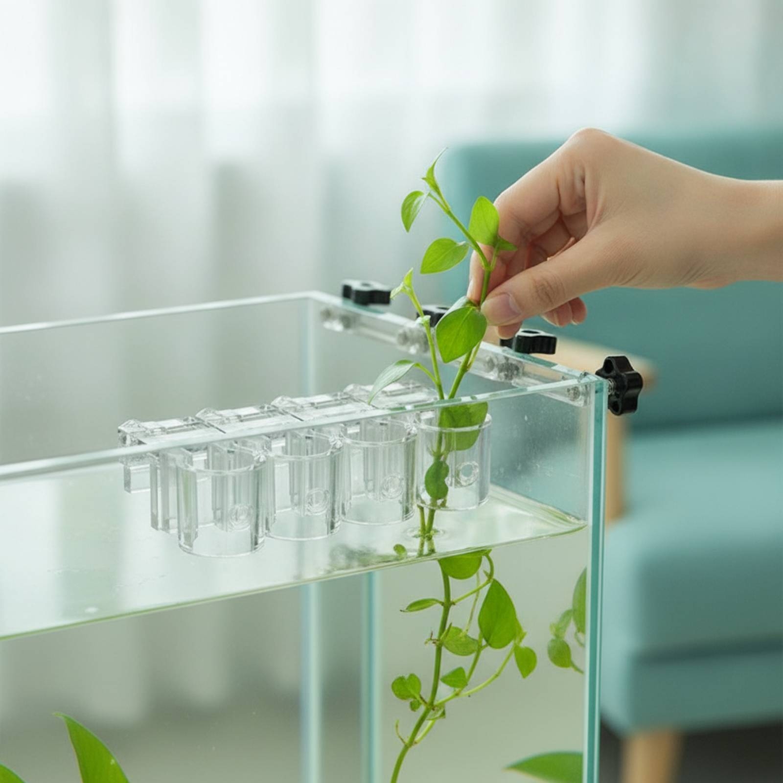 Aquarium Planting - 6個入り水槽プランター クリア水耕栽培サポートクリップ ネジ付き 水生植物カップ クランプ式 水槽愛好家、水槽用