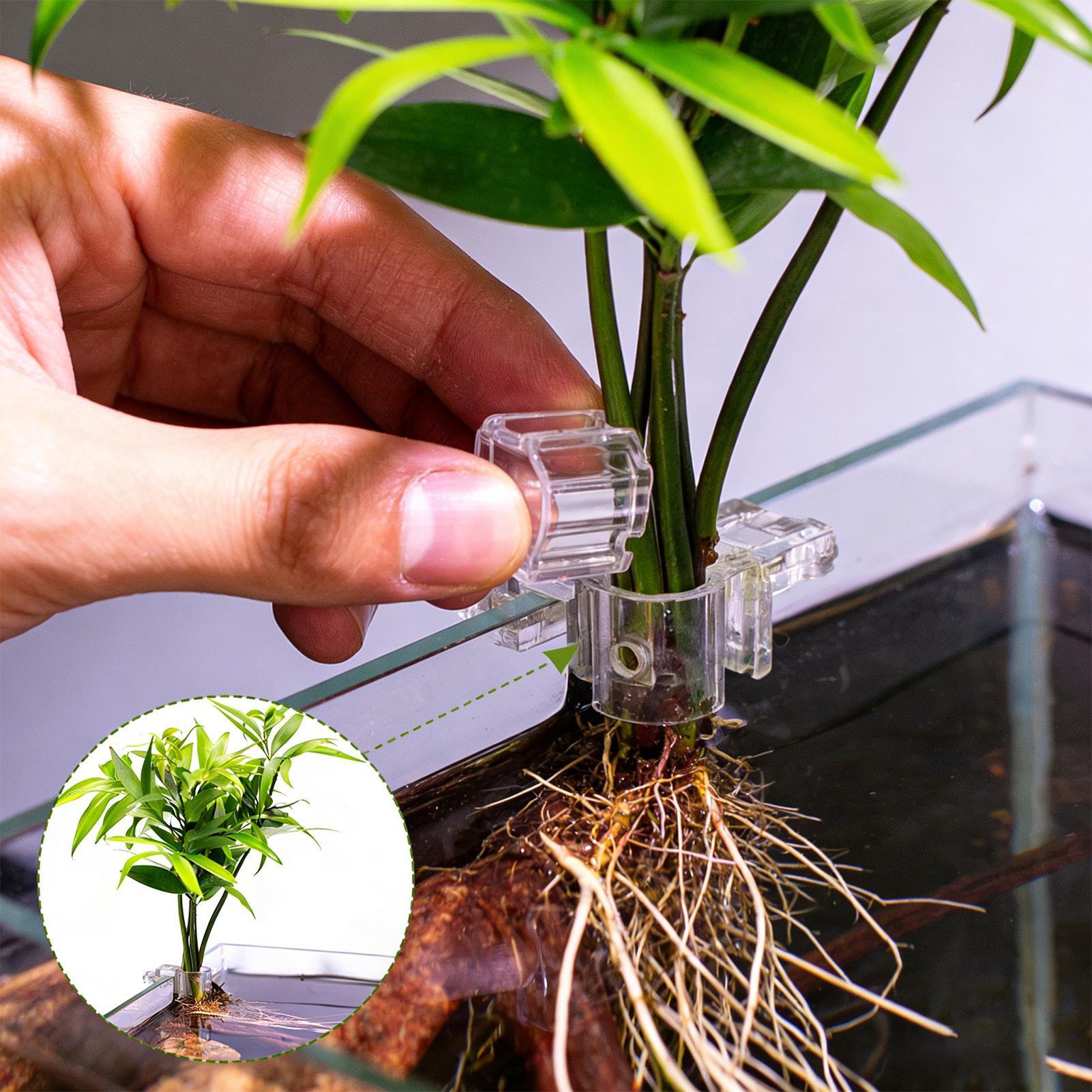Aquarium Plant Holder - 6 個の水族館植物ホルダー透明植栽ブラケット吊り下げ可能な植物ホルダーカップ水槽用家庭栽培植栽栽培