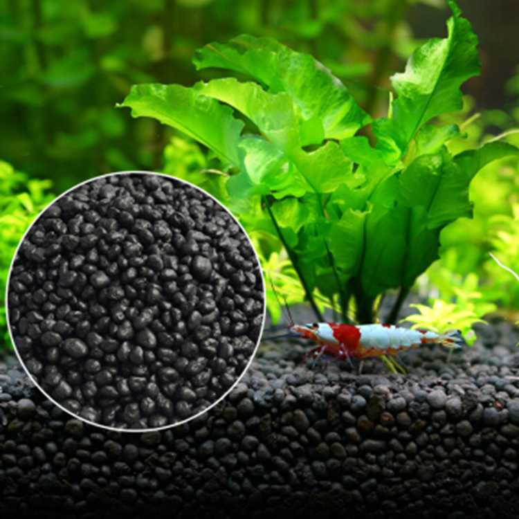 Planted Aquarium Moss - 水族館植物の種子,水槽の素材,砂,土壌肥料,魚の手入れ,淡水水族館の付属品