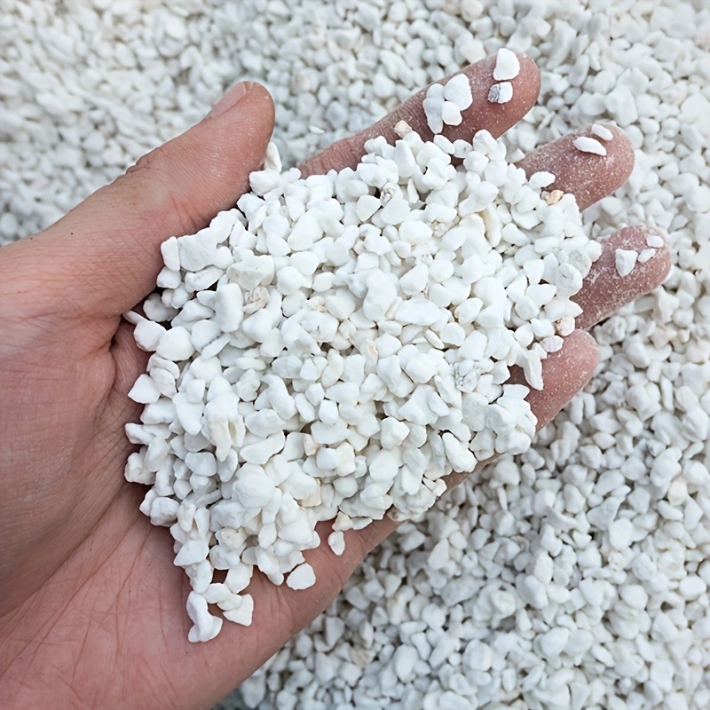 Tissue Culture Plant - 3-6mmの園芸用パーライト1パック、苗栽培、花の土、園芸用膨張土、保水性、通気性のある土壌混合培地、2.5L土壌改良剤