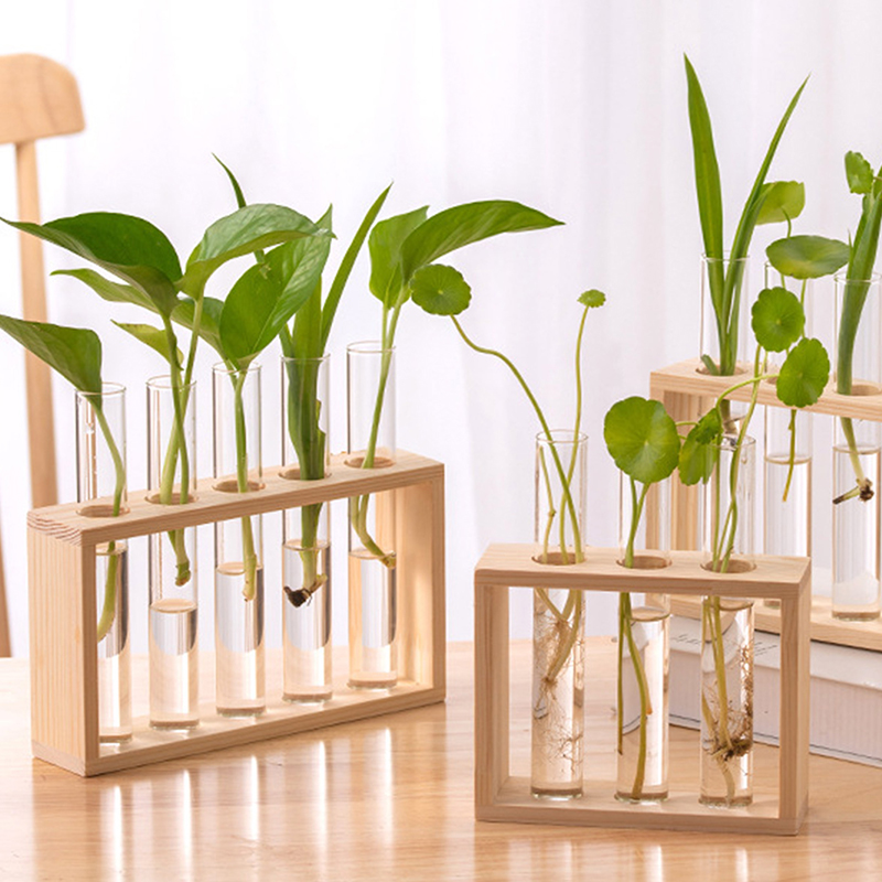 Tissue Culture Plant - 水耕植物コンテナ木製フレーム透明ガラス試験管花瓶植木鉢ホーム卓上盆栽装飾工芸品
