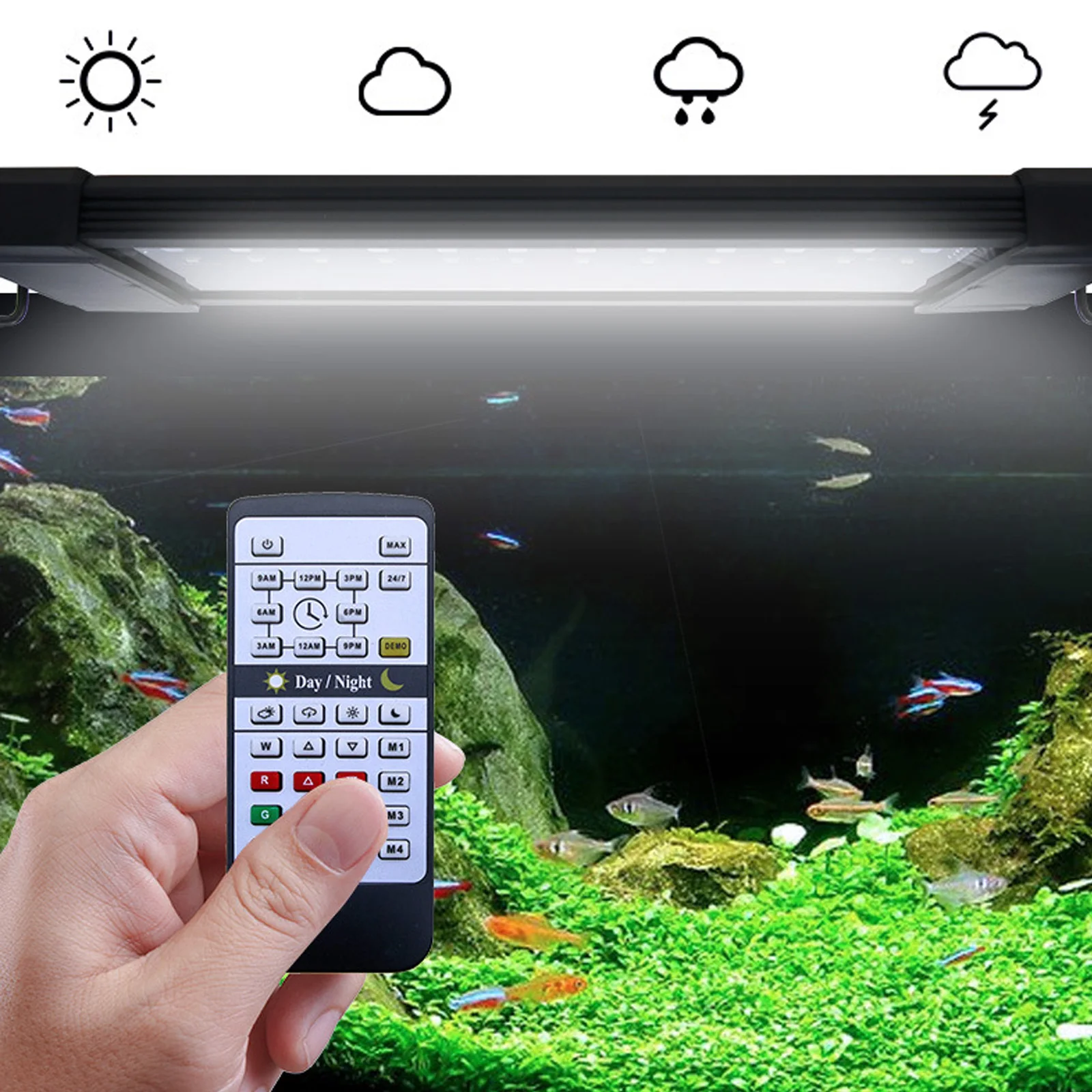 Planted Aquarium Hours - リウェイダ24時間自然光リモコンRGBホワイトフルスペクトルLED水槽ライト（魚タンクと水生植物用）