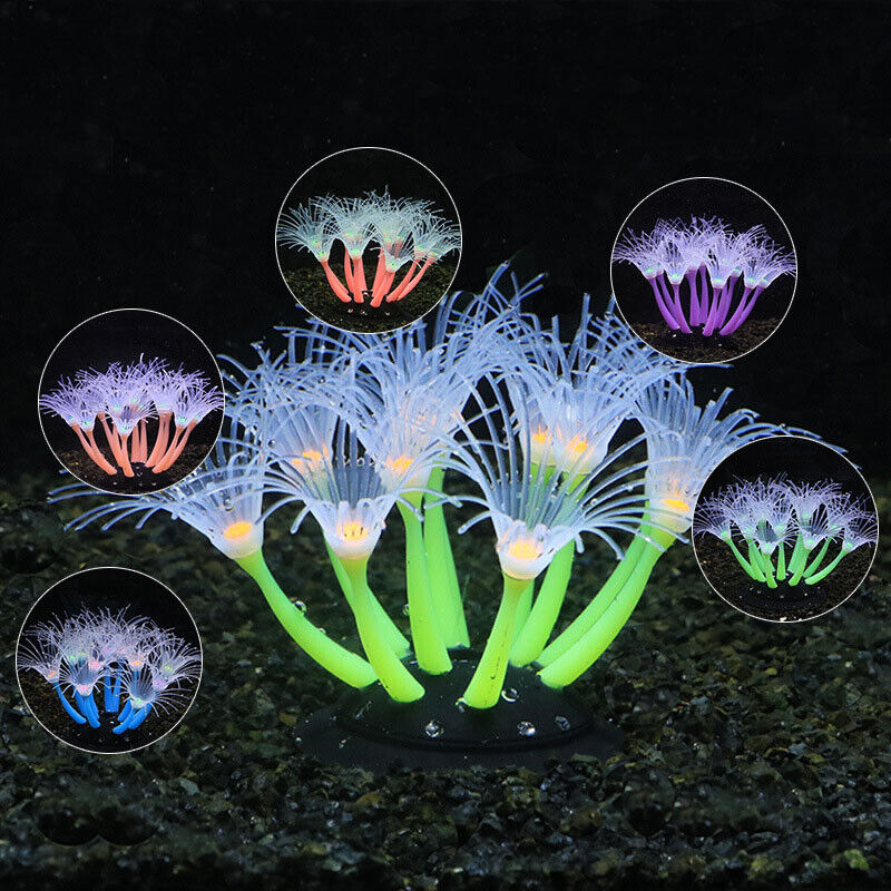 シリコン製光る景観人工魚タンク水槽蛍光サンゴひまわり海葵植物 - Aquarium Plant Design のレビューと価格