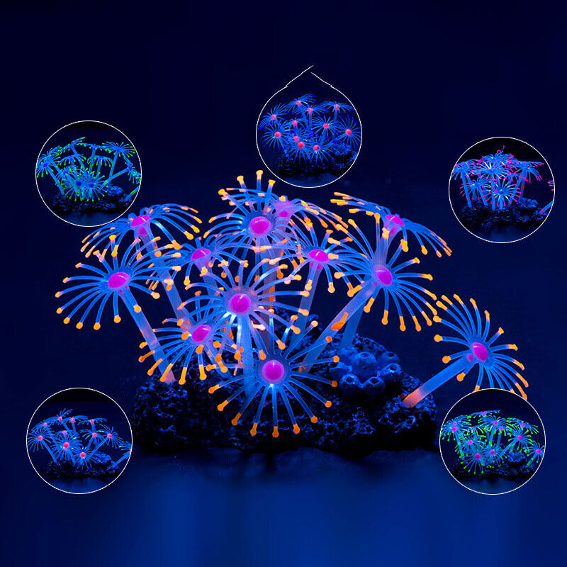 シリコン製光る景観人工魚タンク水槽蛍光サンゴひまわり海葵植物 - Aquarium Plant Design のレビューと価格