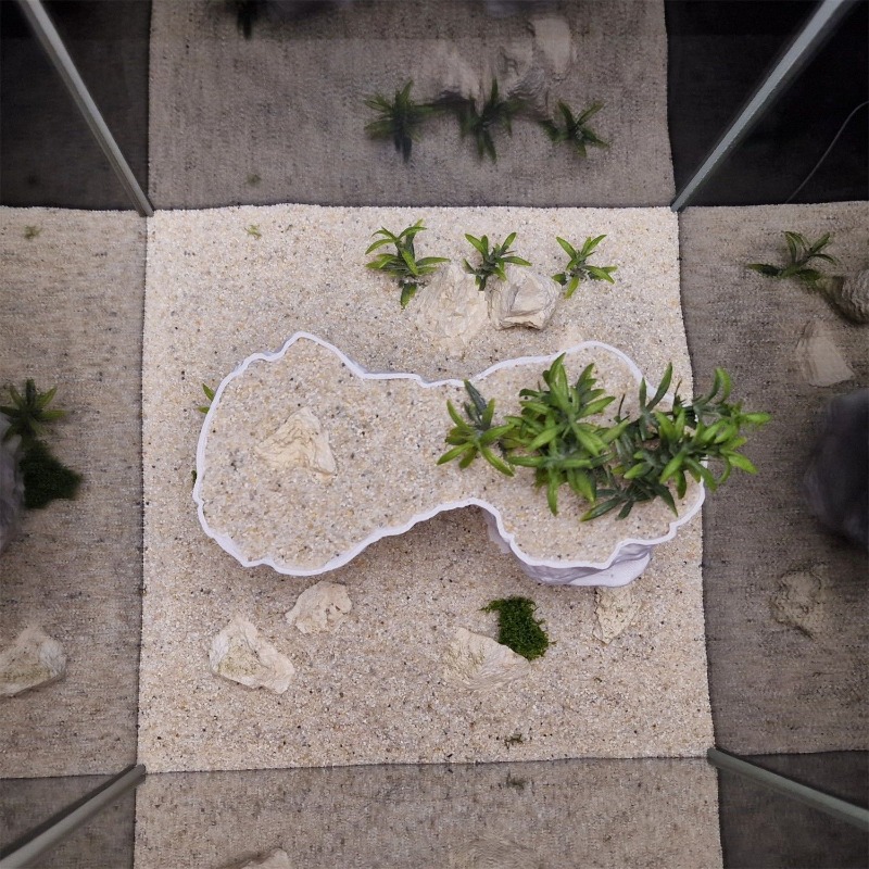 水槽用3Dプリント植栽バスケット、水耕栽培サポート、アクアス - Aquarium Planted Tank Soil のレビューと価格