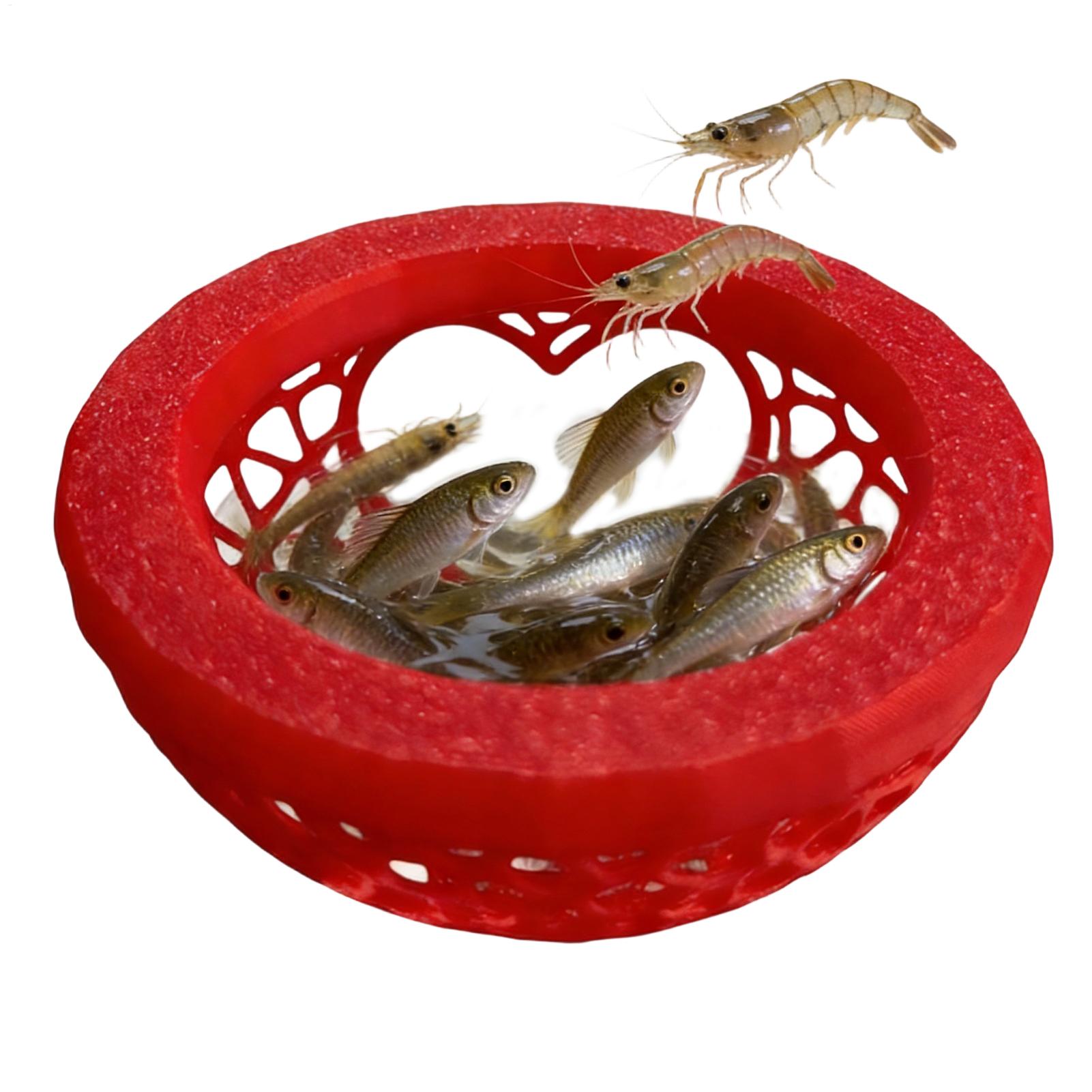 フローティングベタシェルター ベタハンモック フローティング - Aquarium Plant Rings のレビューと価格