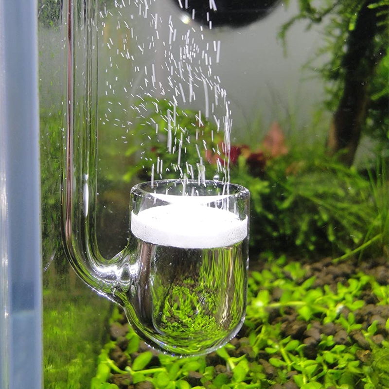D0AD ガラス CO2 ディフューザー 水槽用 植栽型 水 - Aquarium Plant Design のレビューと価格