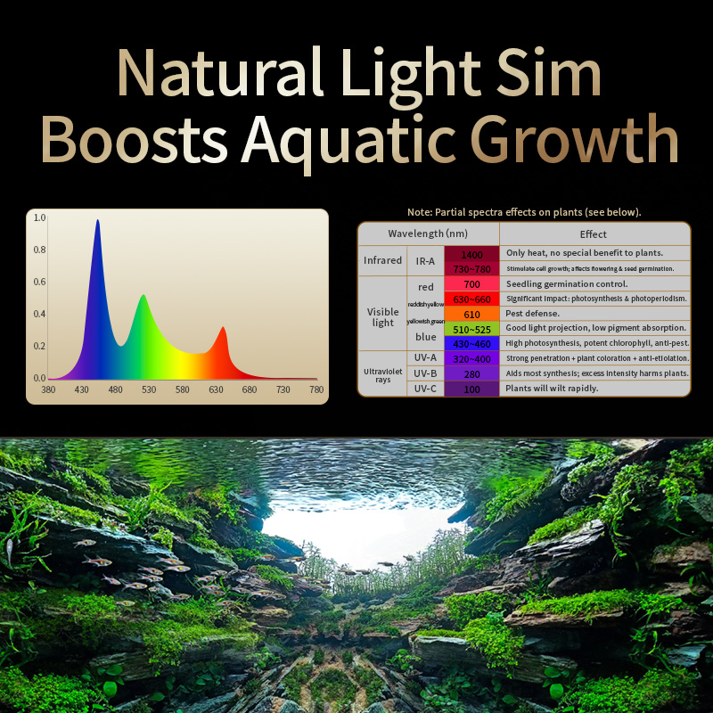 KASSRAY T200/T300 IR-A+UV ナチュラ - Planted Aquarium Uv Light のレビューと価格
