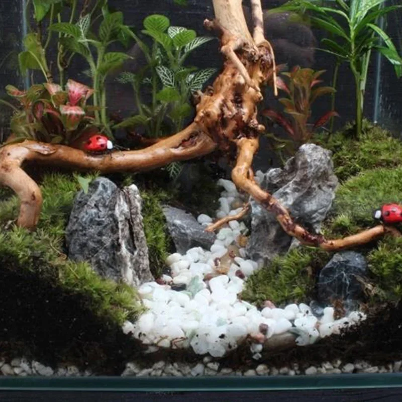 水族館、魚のタンク、爬虫類の根の植物、木の装飾、装飾アクセサ - Aquarium Plant Design のレビューと価格
