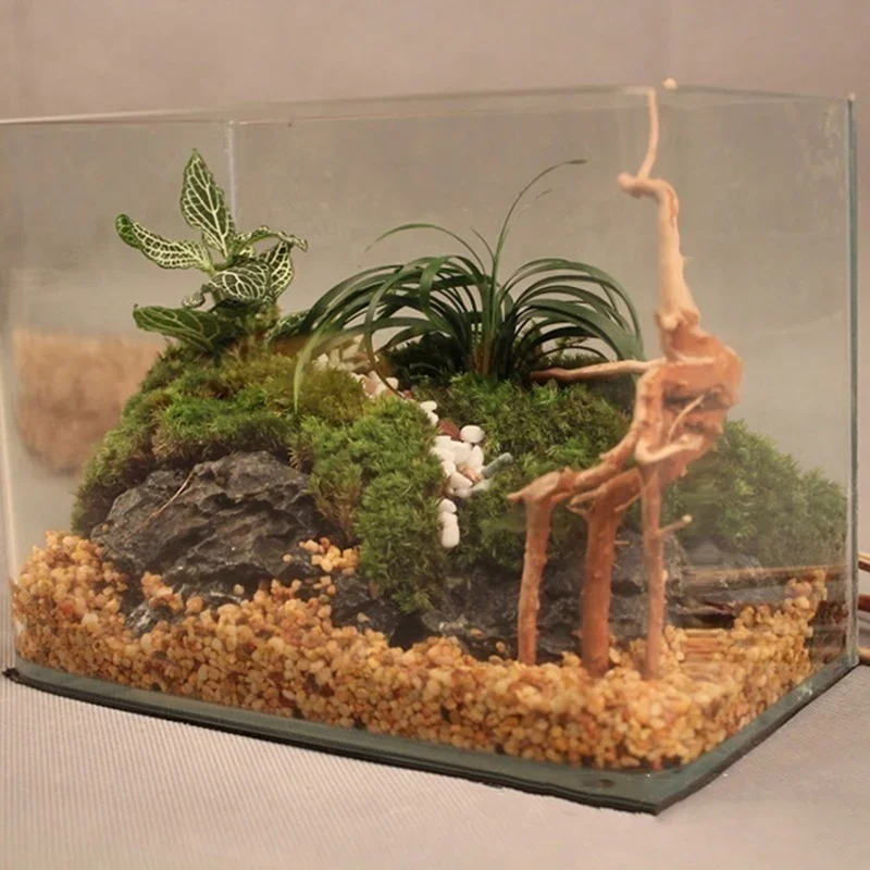 水族館、魚のタンク、爬虫類の根の植物、木の装飾、装飾アクセサ - Aquarium Plant Design のレビューと価格