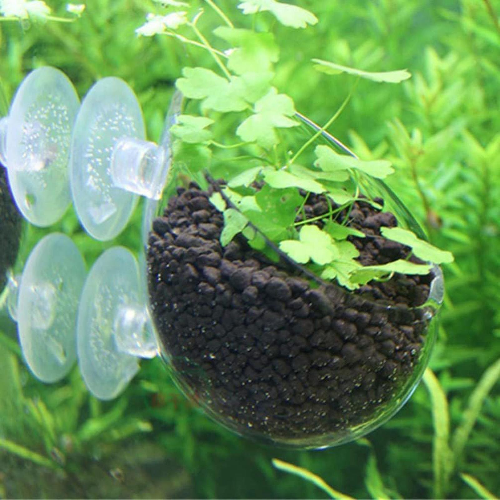 水槽用植物ホルダー ガラス製水草ポット 吸盤付き 生きた植物 - Aquarium Plant Holder のレビューと価格