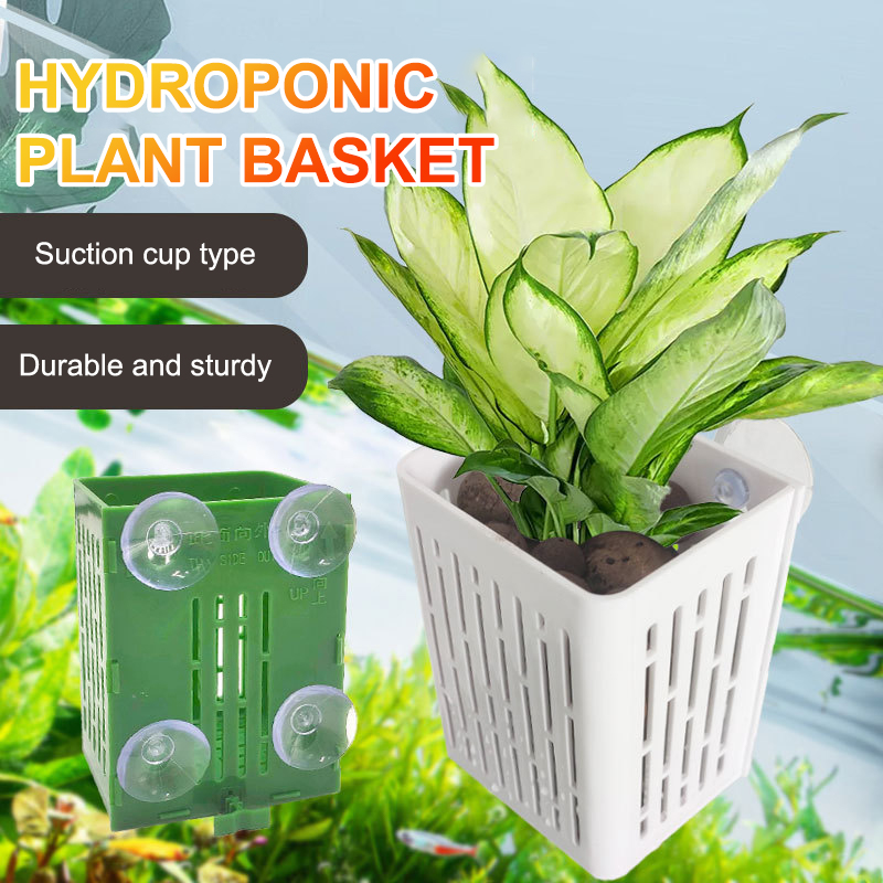ハンギングサクションカップフック水族館植物ホルダー、プラスチ - Aquarium Plant Holder のレビューと価格