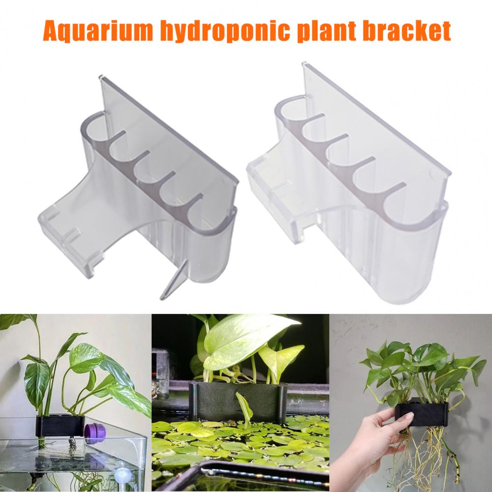 4.5/6.5 センチメートル水族館植物ホルダー水槽植物スタ - Aquarium Plant Holder のレビューと価格