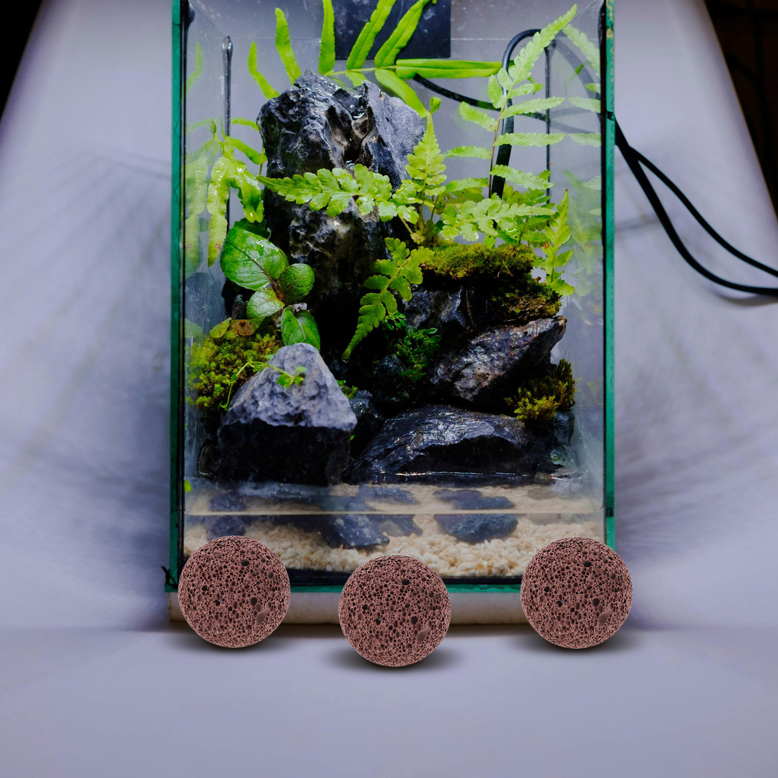 5個入り多孔質火山岩溶岩石、水槽の水ろ過、魚タンクの装飾、テ - Aquarium Planted Tank Soil のレビューと価格