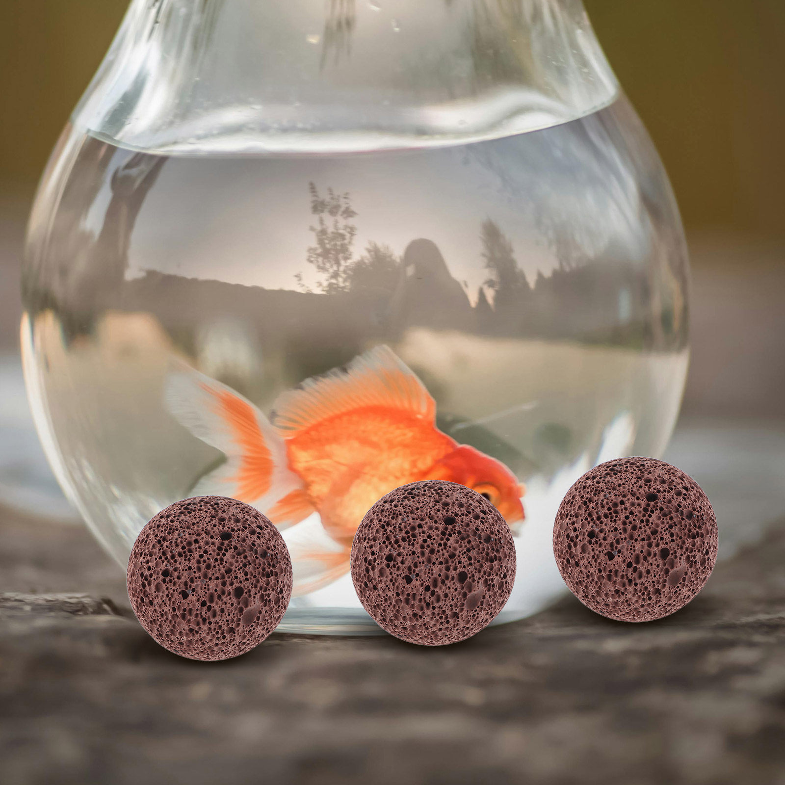 5個入り多孔質火山岩溶岩石、水槽の水ろ過、魚タンクの装飾、テ - Aquarium Planted Tank Soil のレビューと価格