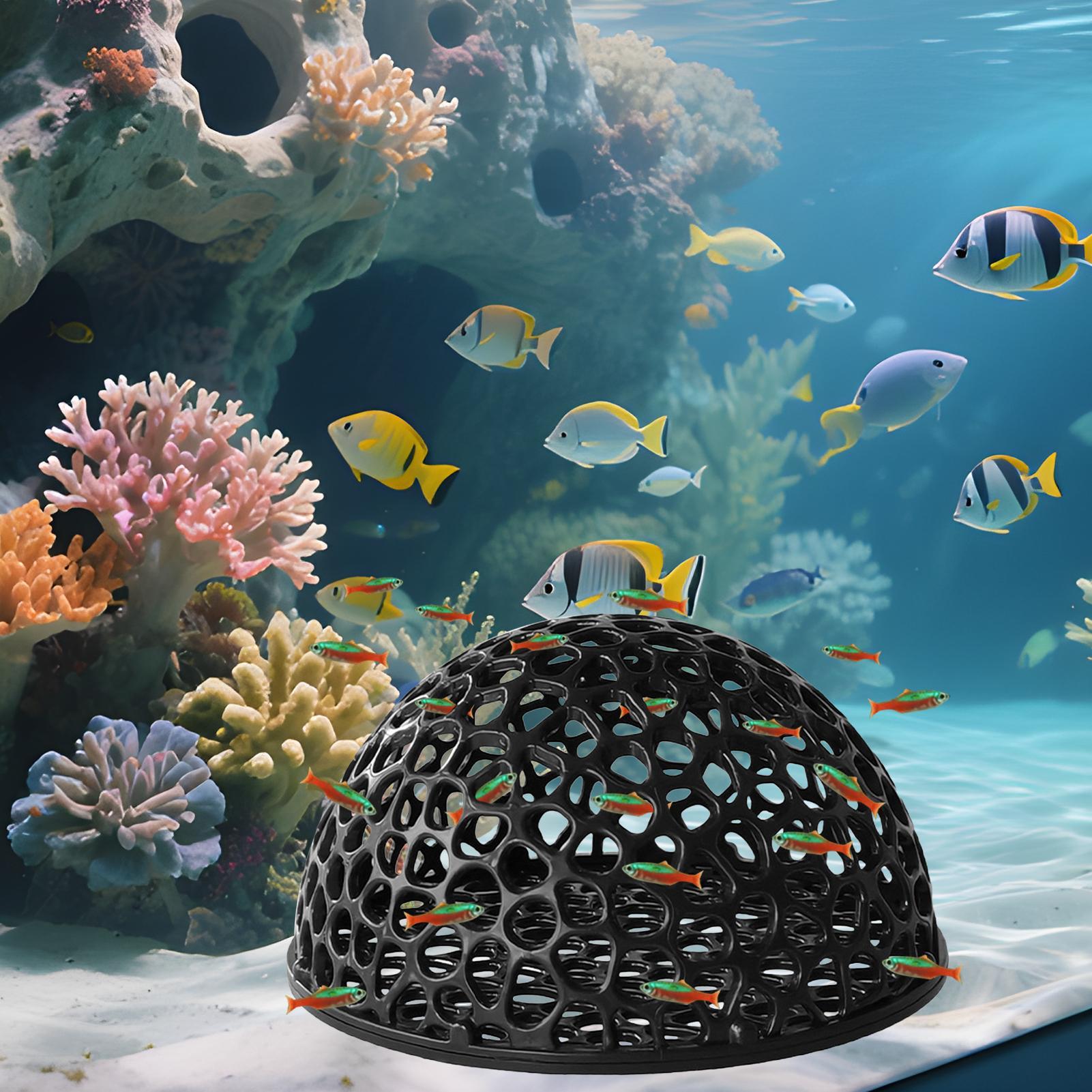 小型魚やエビの繁殖と休憩用の水槽隠れ家、安全な隠れ場所、水槽 - Aquarium Plant Rings のレビューと価格