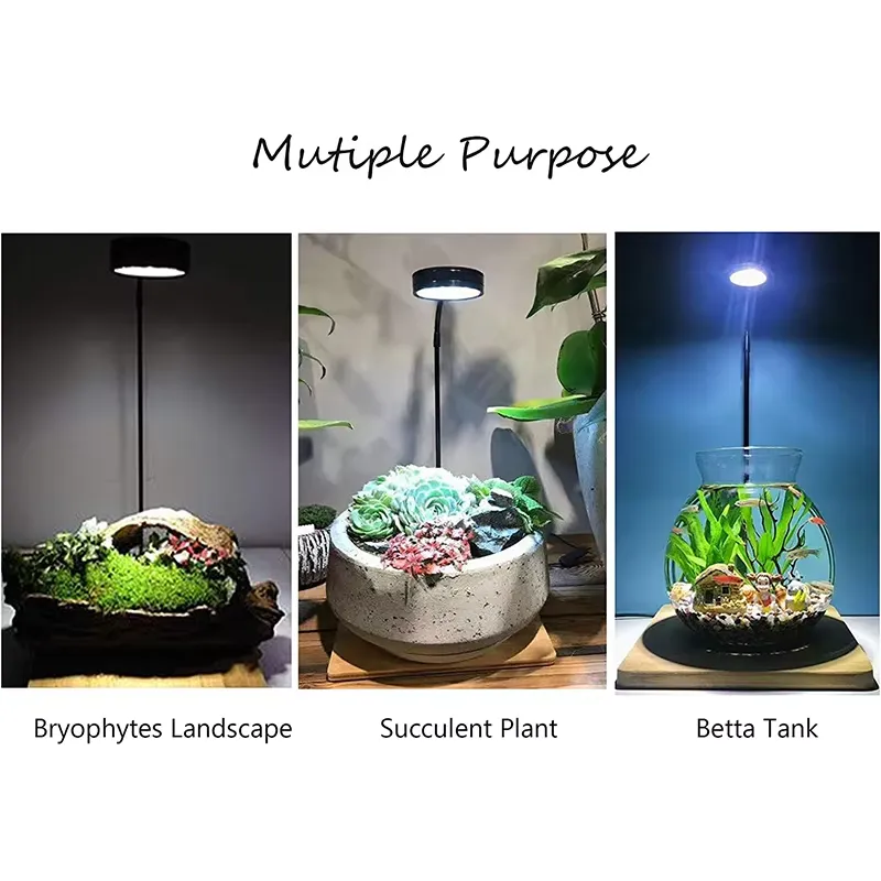 水槽、ベタ、鉢植え、多肉植物、ミニチュア風景用のフルスペクト - Planted Aquarium Hours のレビューと価格