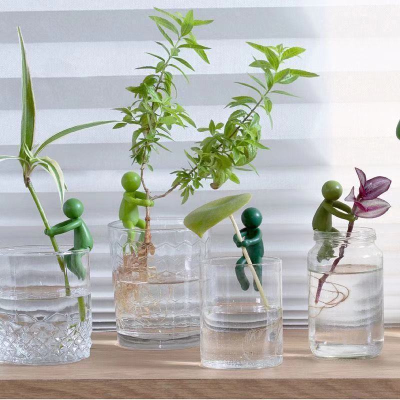 水耕栽培植物固定用置物オーナメント、直立型植物サポート装飾、 - Tissue Culture Plant のレビューと価格
