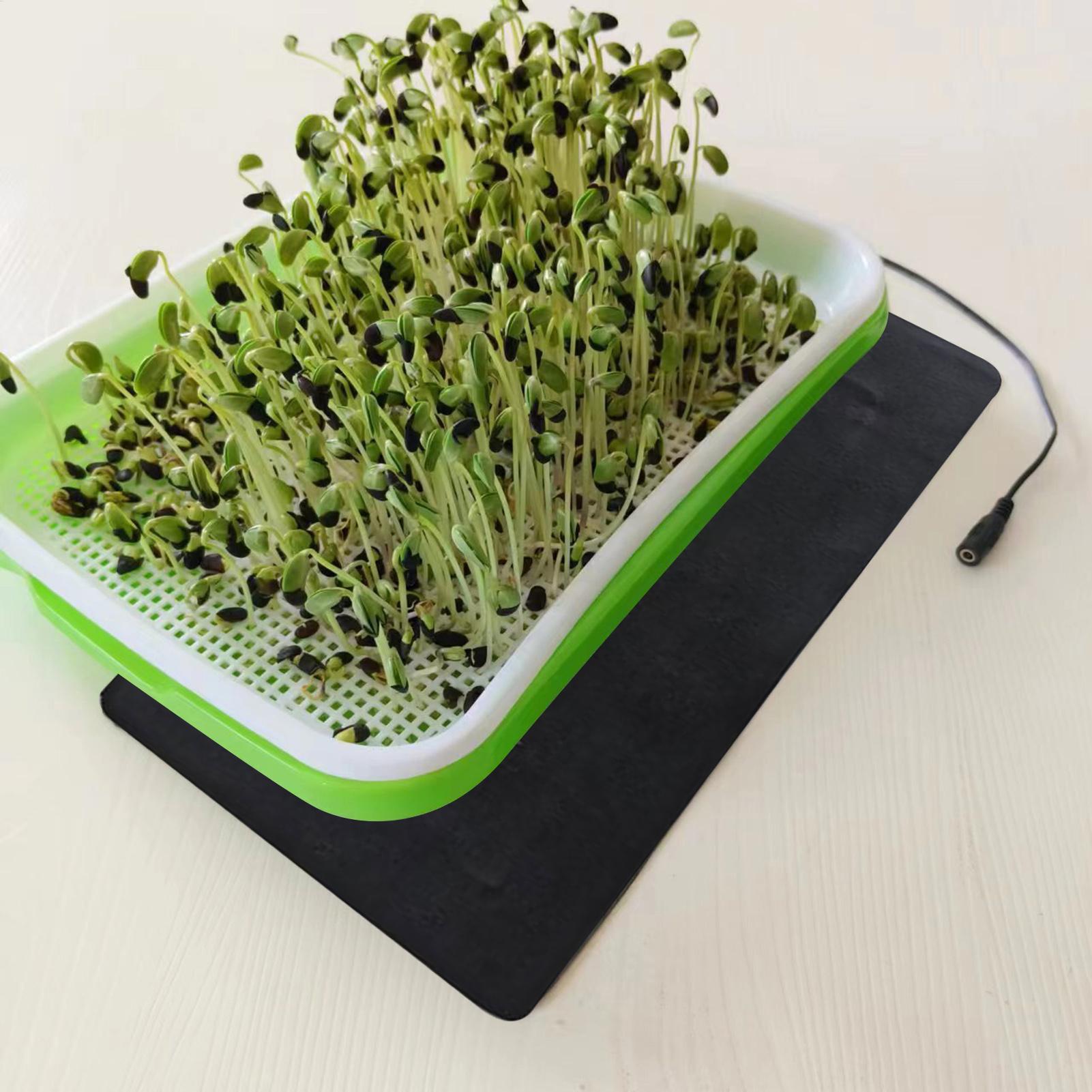 8.5W USB苗床ヒートマット、3段階温度調節可能な植物苗 - Tissue Culture Plant のレビューと価格