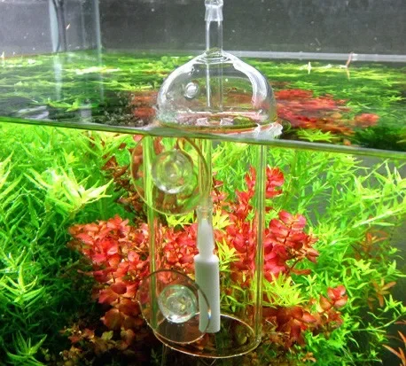 VIV DO DEVICE 水族館シリンダー クリスタルガラ - Planted Aquarium Air Stone のレビューと価格
