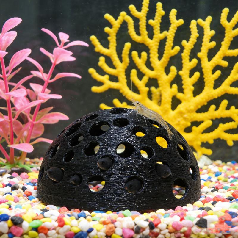 水槽用隠れ洞窟シェルター 小魚や繁殖休憩用の地下洞窟 水槽の - Aquarium Plant Rings のレビューと価格