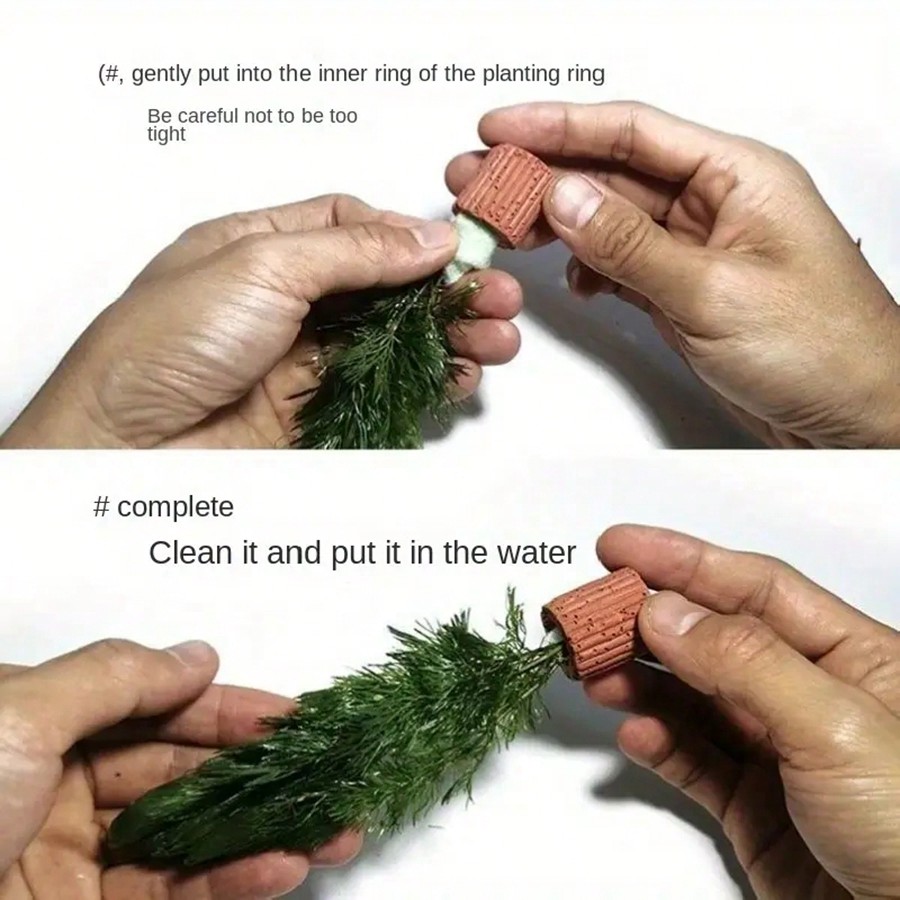 高品質の水族館植物固定リング - 水生植物用の呼吸リングは、 - Aquarium Plant Rings のレビューと価格