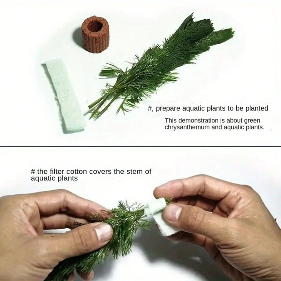 高品質の水族館植物固定リング - 水生植物用の呼吸リングは、 - Aquarium Plant Rings のレビューと価格