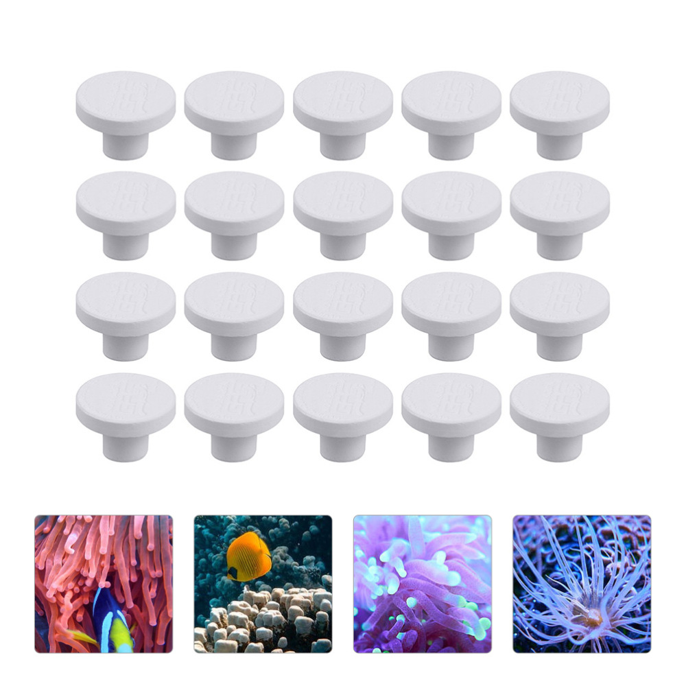 SPSセラミックコーラルフラグプラグベーススクエアT字型トレ - Aquarium Plant Design のレビューと価格