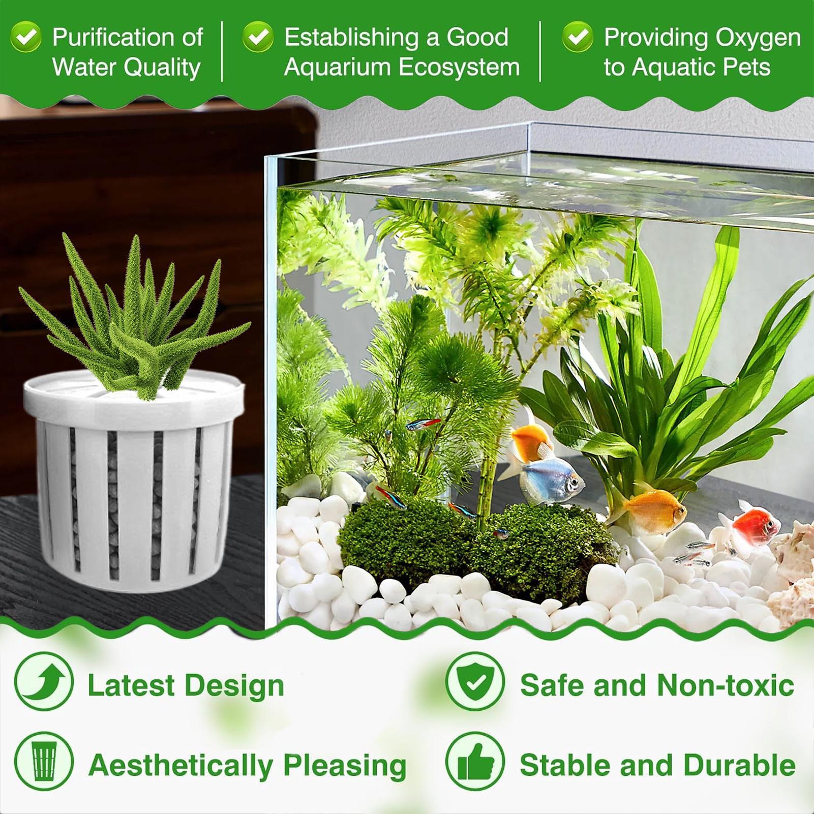 4個入り水槽プランターポット、スポンジ吸盤付き、自動沈下式、 - Aquarium Plant Holder のレビューと価格