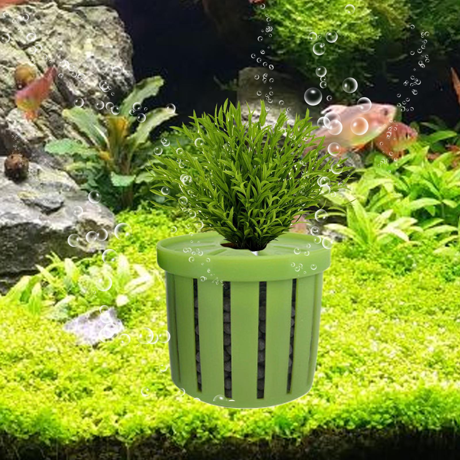 4個入り水槽プランターポット、スポンジ吸盤付き、自動沈下式、 - Aquarium Plant Holder のレビューと価格