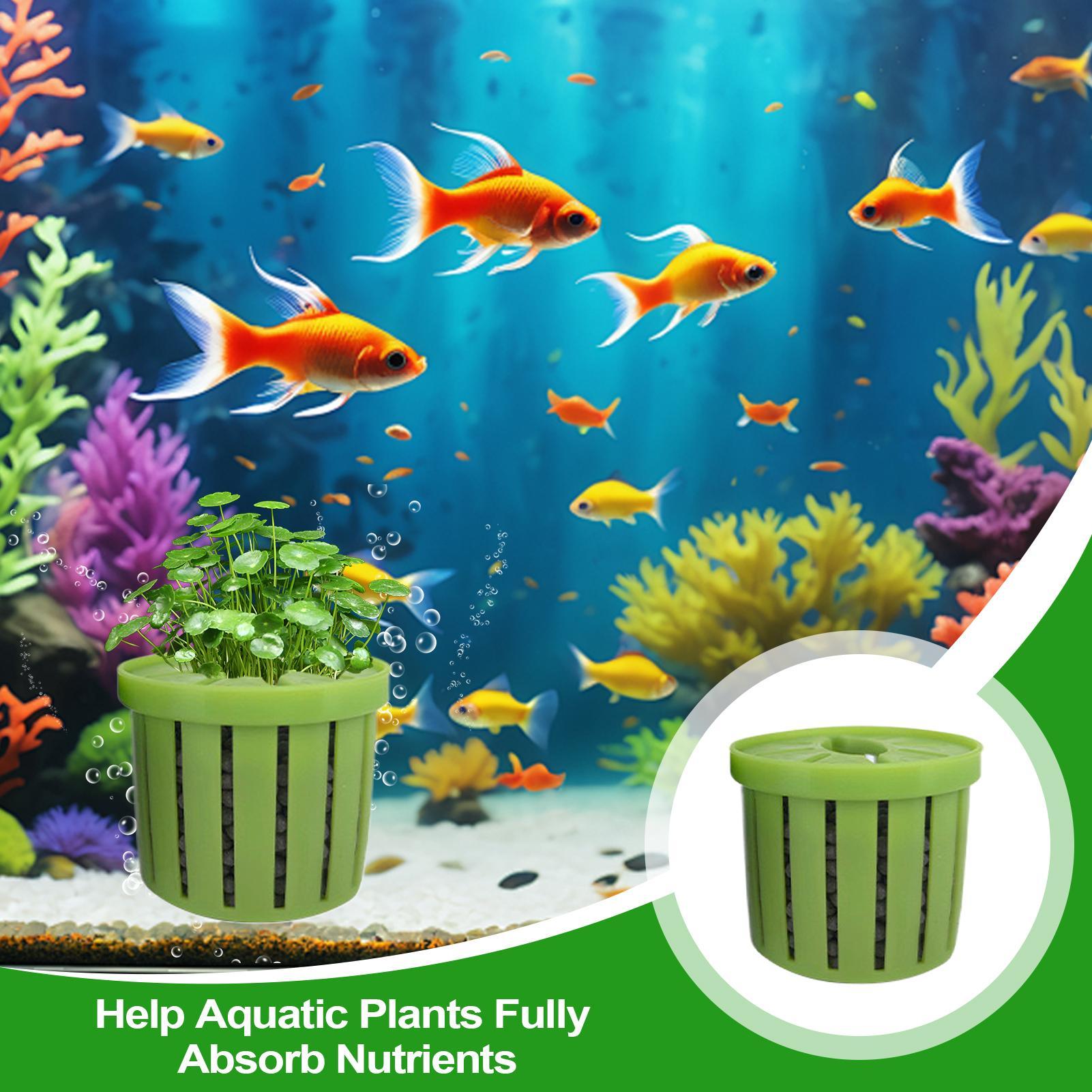 4個入り水槽プランターポット、スポンジ吸盤付き、自動沈下式、 - Aquarium Plant Holder のレビューと価格