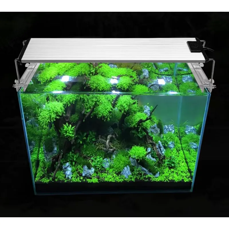 RGBフルスペクトルシルバータッチコントロール太陽光シミュレ - Planted Aquarium Hours のレビューと価格