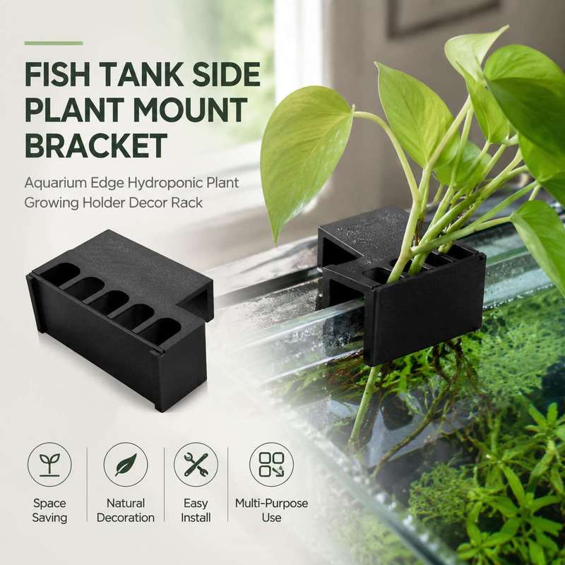 水槽サイドプラントマウントブラケット水槽エッジ水耕栽培プラン - Aquarium Plant Holder のレビューと価格