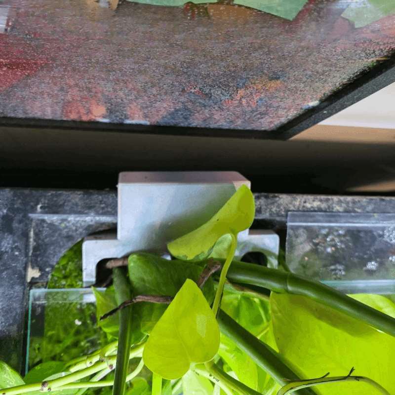 水槽サイドプラントマウントブラケット水槽エッジ水耕栽培プラン - Aquarium Plant Holder のレビューと価格