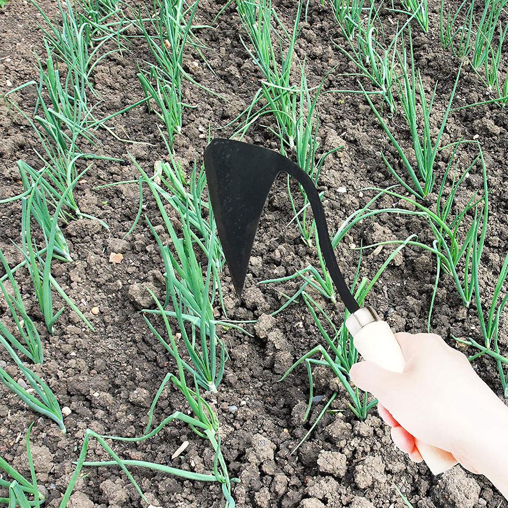 三角形の農業用鍬,農業用ツール,除草,野菜の植え付け,土壌の - Tissue Culture Plant のレビューと価格