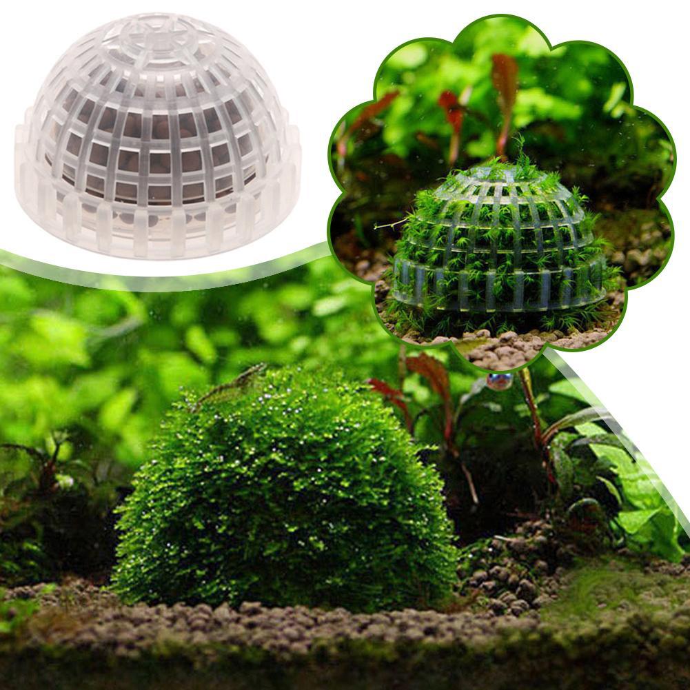 1/2/3/4/5 個水族館装飾植物バイオモスボールホルダー - Planted Aquarium Moss のレビューと価格