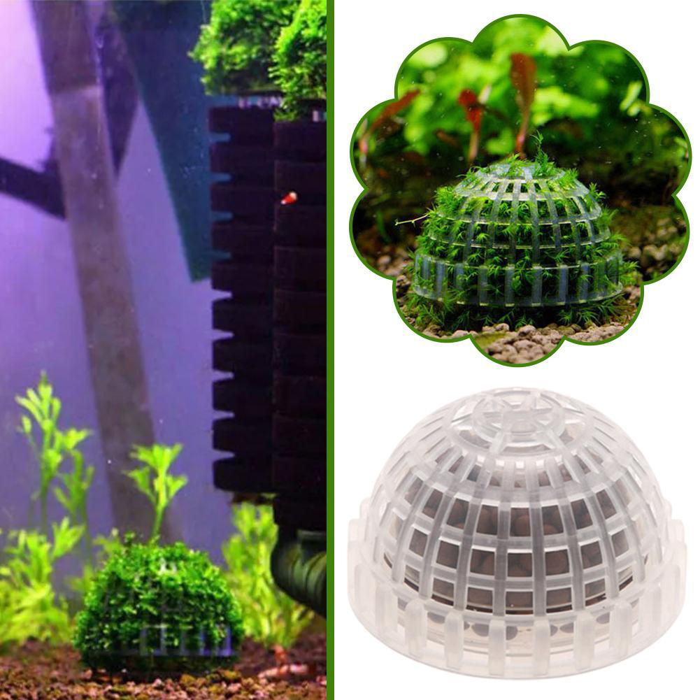 1/2/3/4/5 個水族館装飾植物バイオモスボールホルダー - Planted Aquarium Moss のレビューと価格
