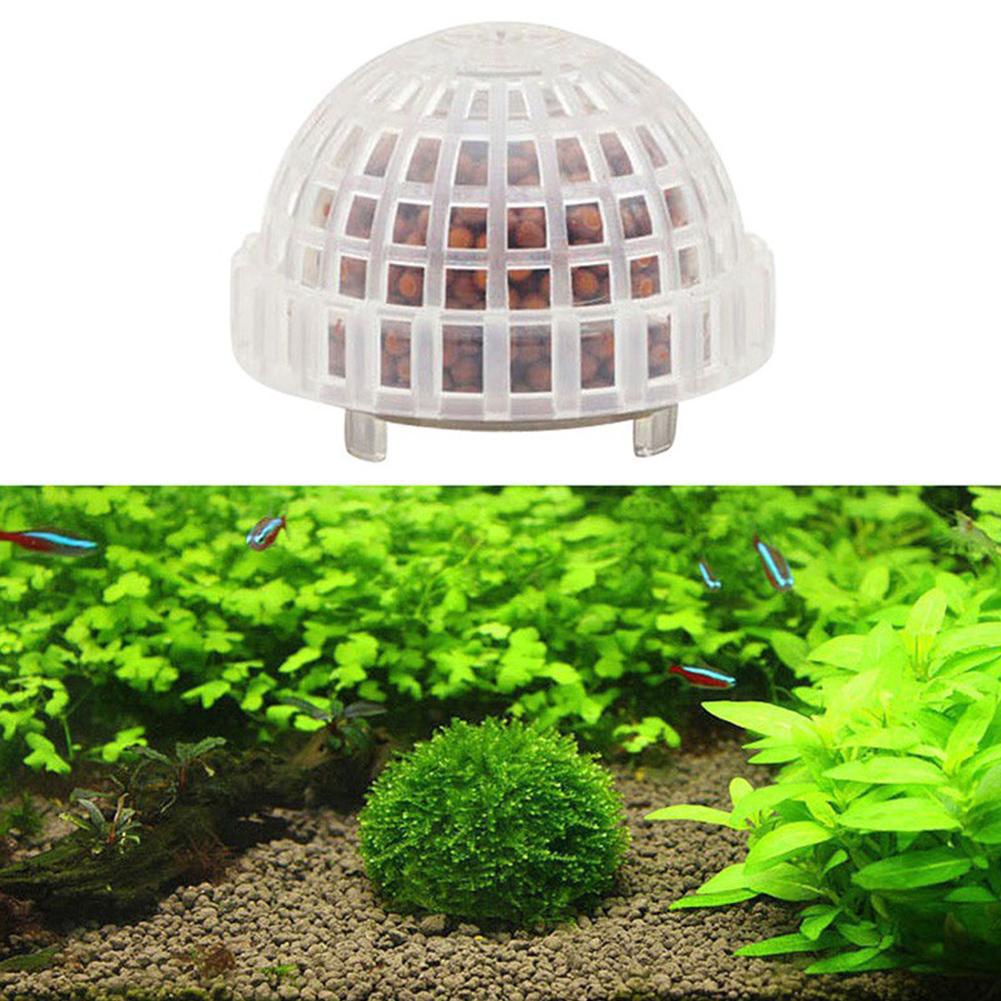 1/2/3/4/5 個水族館装飾植物バイオモスボールホルダー - Planted Aquarium Moss のレビューと価格