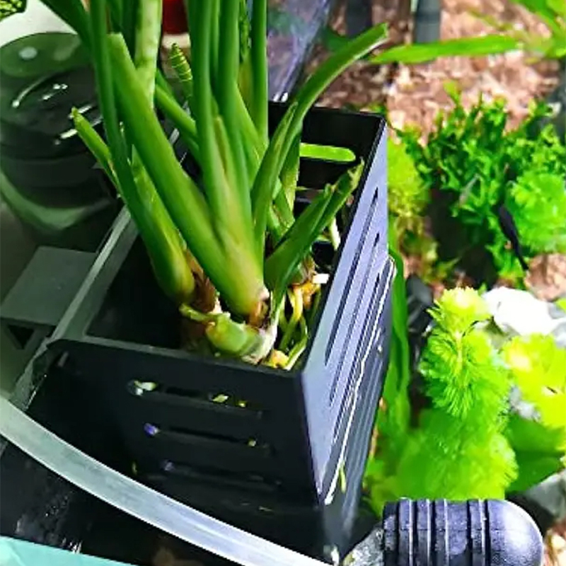 ペットの水槽の装飾水族館植物スタンド吸着性水耕植物収納プラス - Aquarium Plant Holder のレビューと価格
