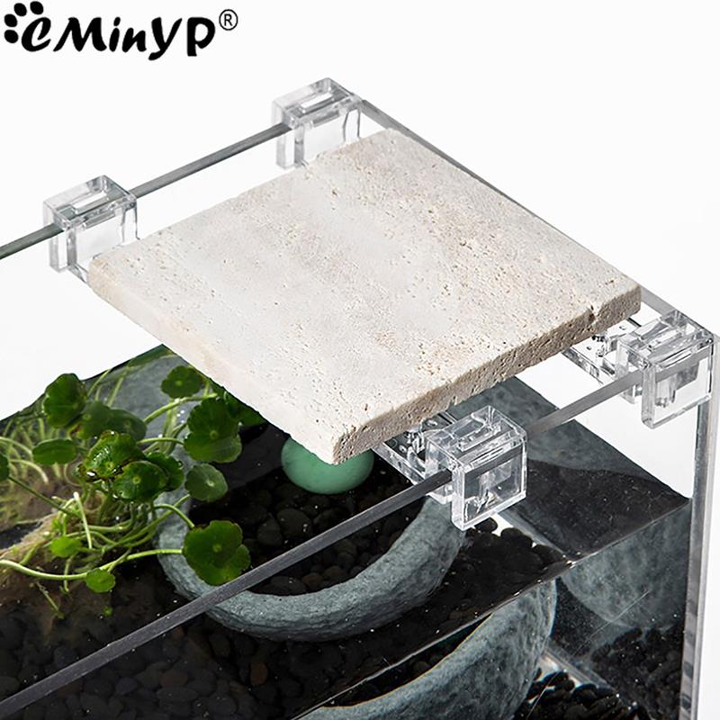 4 個の水槽アクリルクリップ 5.5 ミリメートル〜 15  - Aquarium Plant Holder のレビューと価格