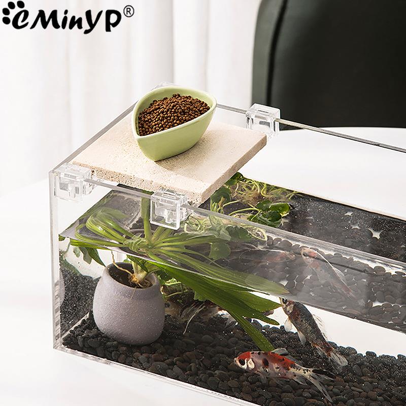 4 個の水槽アクリルクリップ 5.5 ミリメートル〜 15  - Aquarium Plant Holder のレビューと価格