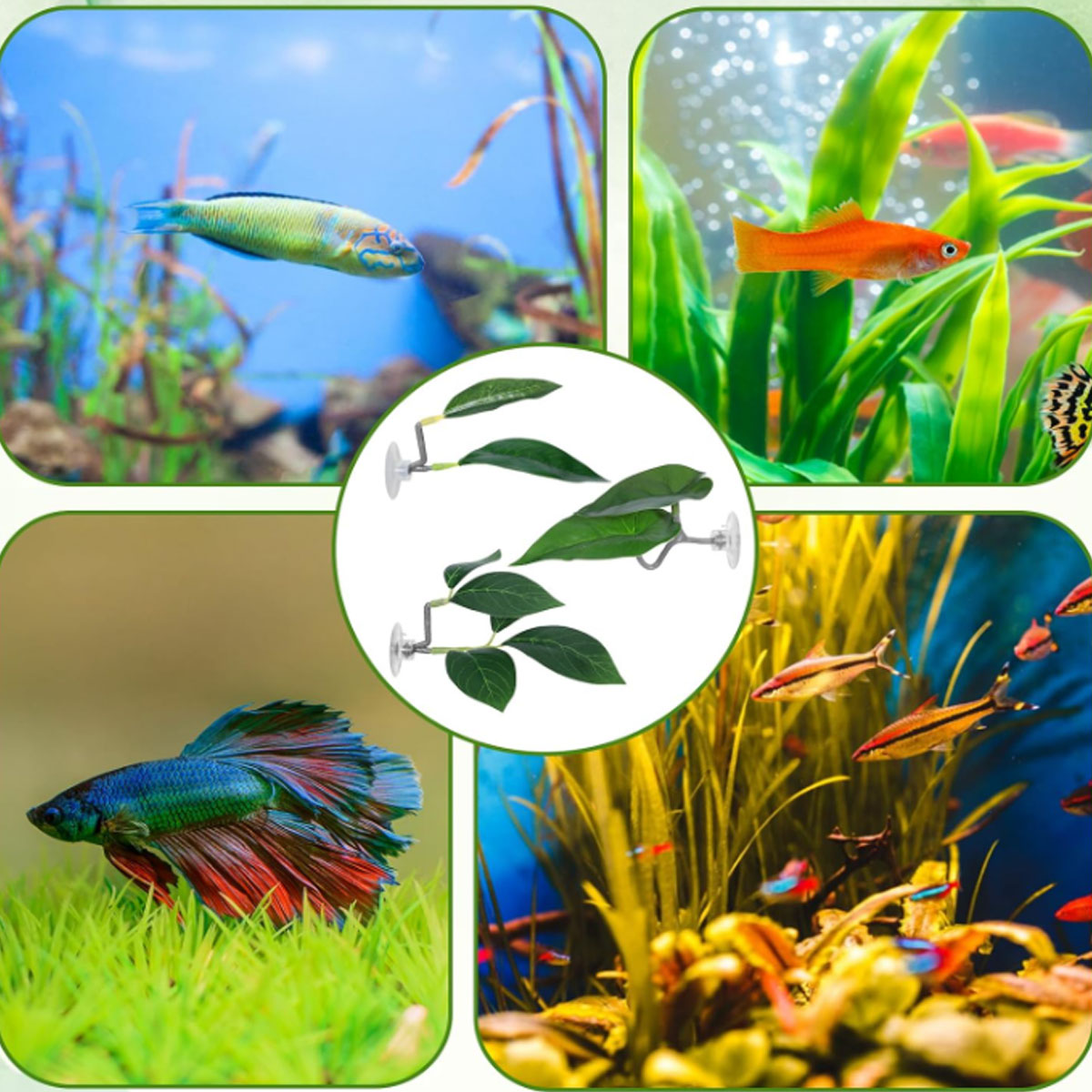 1 PC ベタフィッシュハンモック ソフト水槽装飾 プラスチ - Aquarium Plant Design のレビューと価格