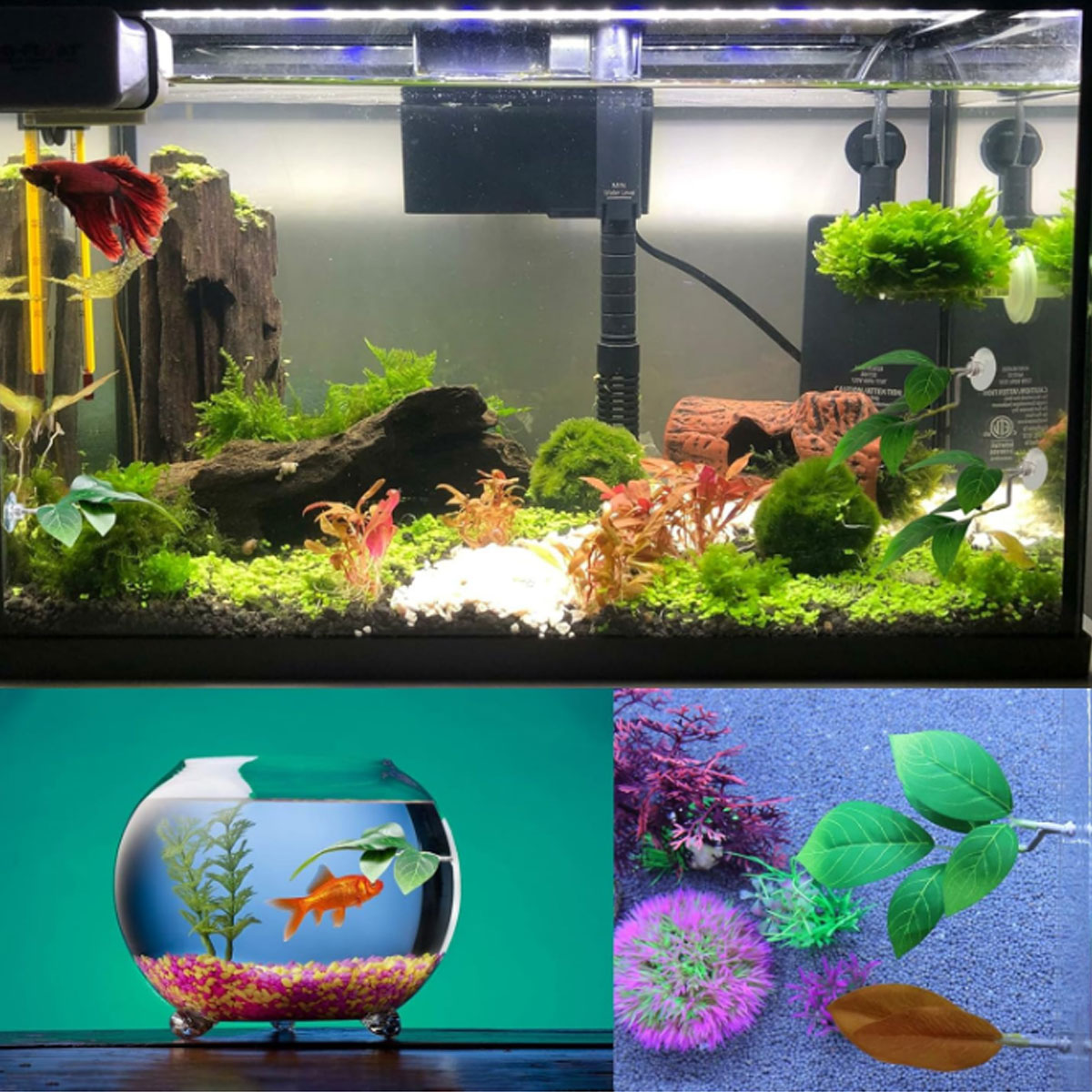 1 PC ベタフィッシュハンモック ソフト水槽装飾 プラスチ - Aquarium Plant Design のレビューと価格