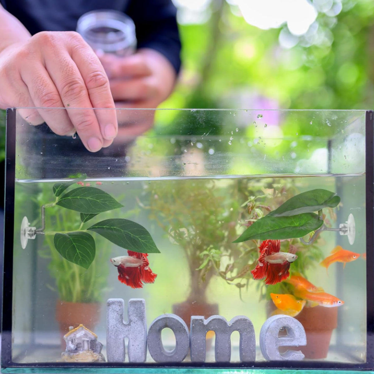 1 PC ベタフィッシュハンモック ソフト水槽装飾 プラスチ - Aquarium Plant Design のレビューと価格