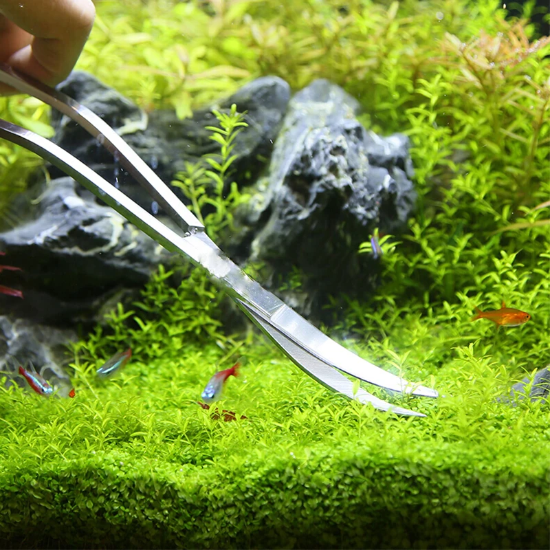 水族館はさみツール水槽ピンセット植物波はさみ草ステンレスクリ - Aquarium Plant Holder のレビューと価格
