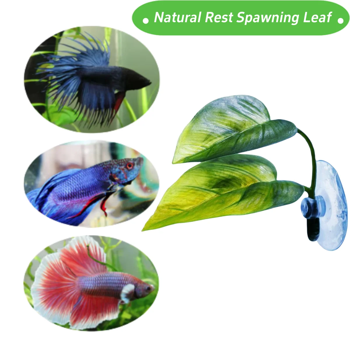 ペット水槽装飾 ベタ用 リラックス プレイプランツ 葉っぱ  - Aquarium Plant Rings のレビューと価格