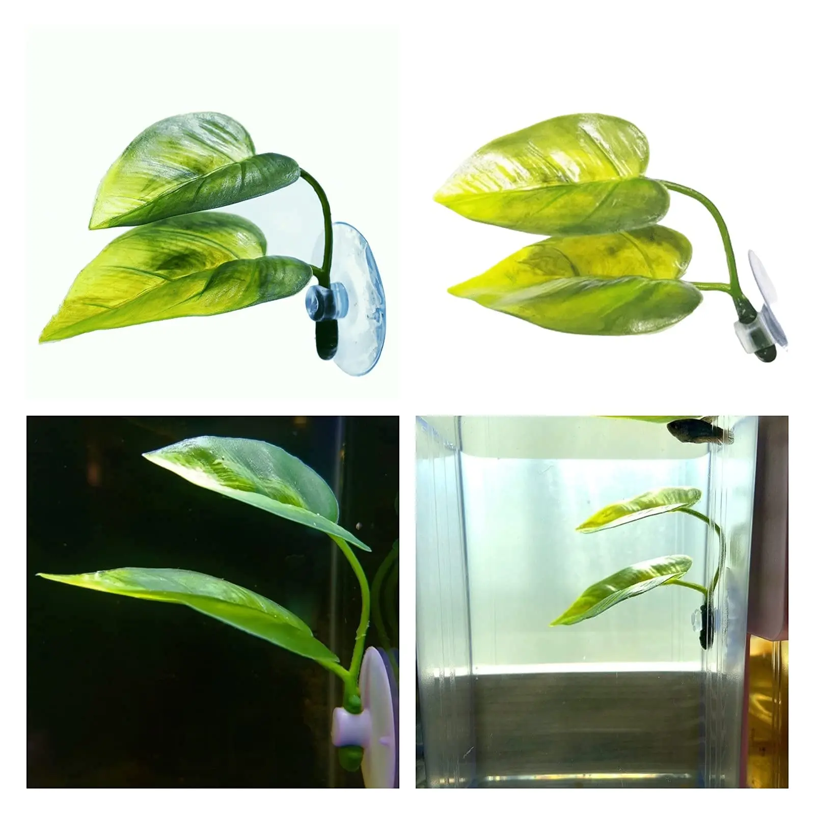ペット水槽装飾 ベタ用 リラックス プレイプランツ 葉っぱ  - Aquarium Plant Rings のレビューと価格