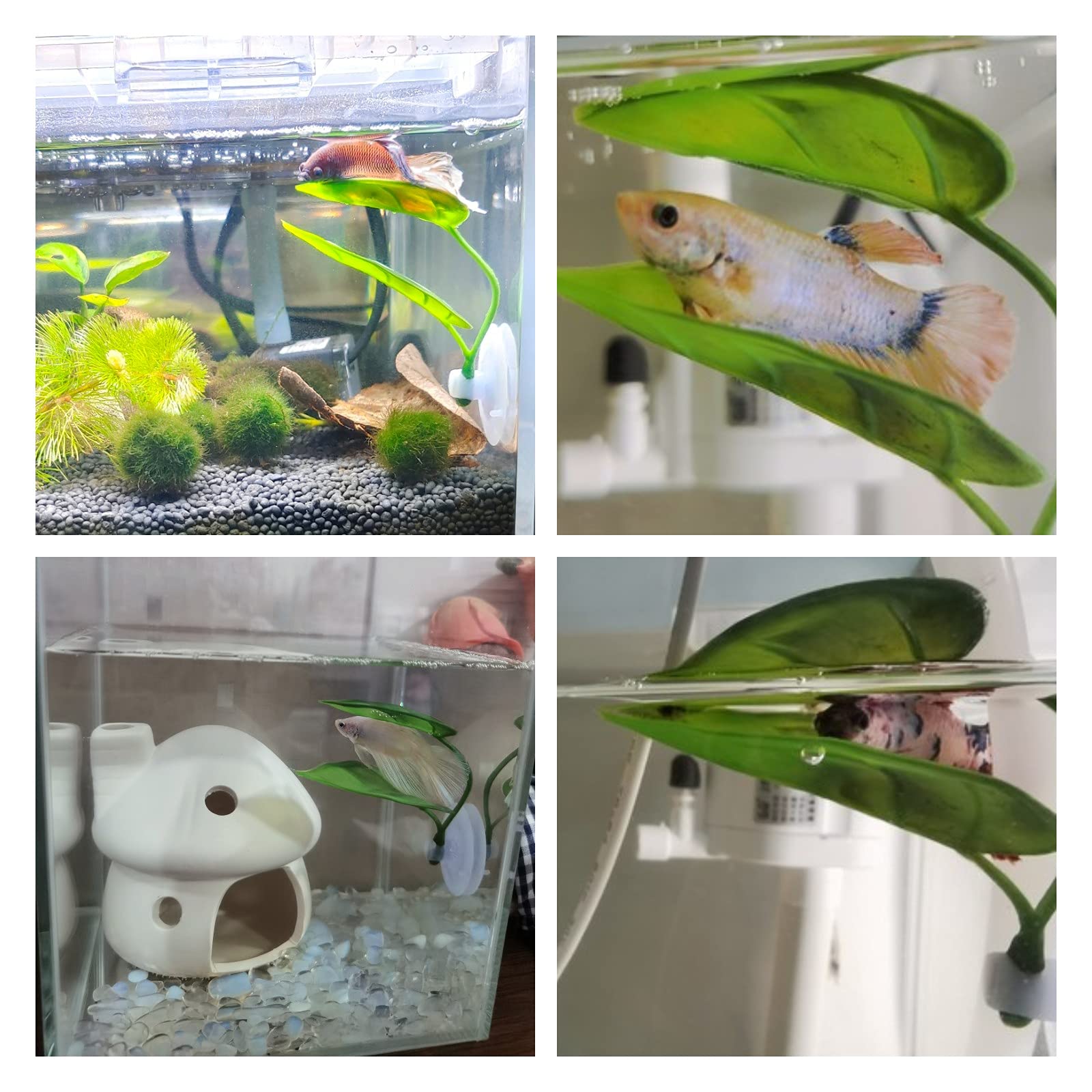 ペット水槽装飾 ベタ用 リラックス プレイプランツ 葉っぱ  - Aquarium Plant Rings のレビューと価格