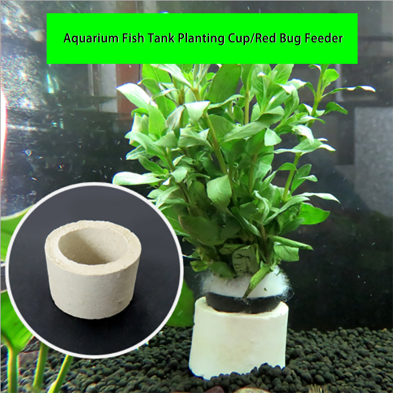 水槽装飾セラミックリング、水槽植物固定ポット、水玉水生植物、 - Aquarium Plant Rings のレビューと価格