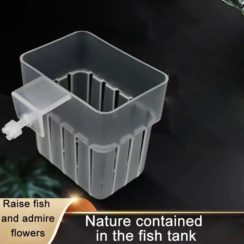 水槽用透明水耕栽培バスケット 壁掛け式上陸植物スタンド -  - Aquarium Plant Rings のレビューと価格